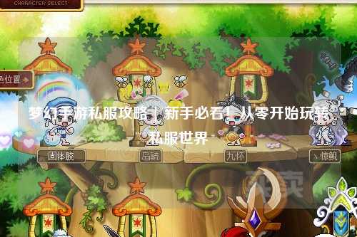 梦幻手游私服攻略 | 新手必看！从零开始玩转私服世界